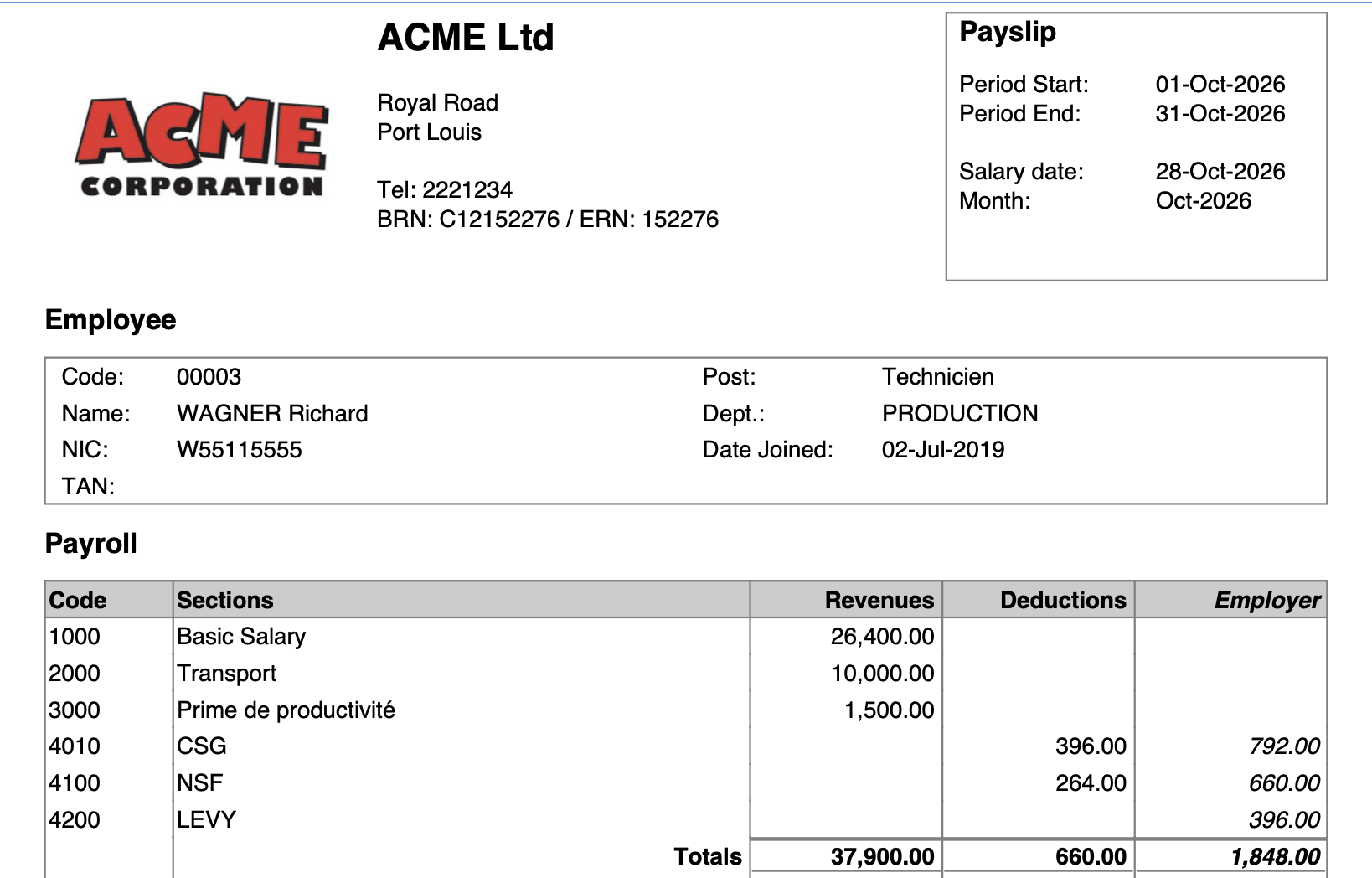 Generated Payslip